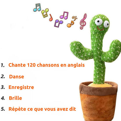 Cactus Dansant - Rires & complicité